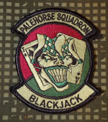 1st squadron 17th cavalry regiment