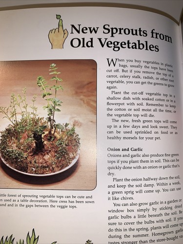 Gardening The Plant-&-Grow Project Book Ulla Dietl 1995 Softcover FREE SHIPPING - Picture 10 of 13