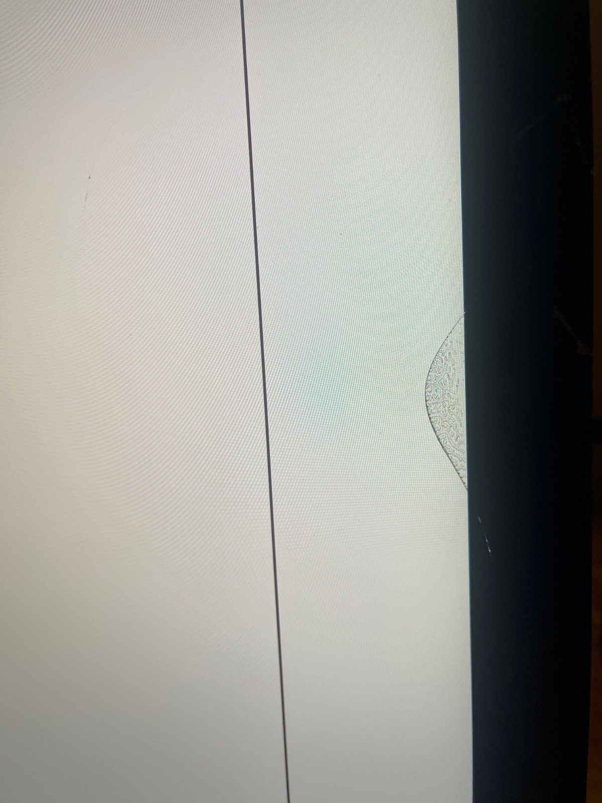 Picture 5 of 5