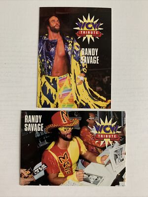 記念グッズ Randy Bass Memorial Card ミントモール / MINT LAB TOKYO店 / 2013 BBM 最強外国人伝説 ランディ