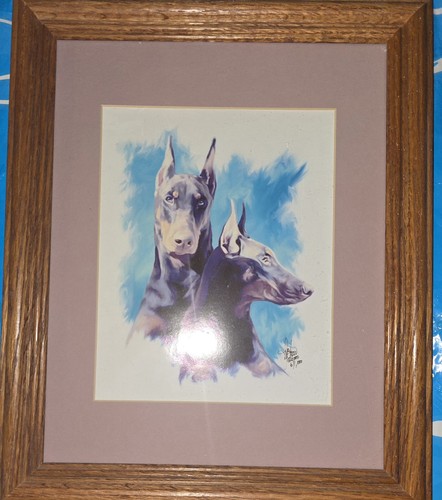 Doberman Pinscher Framed Print