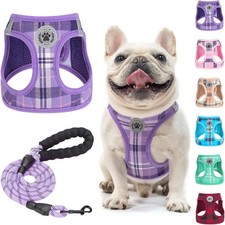 Step-In Dog Harness  Leash Set in Various Patterns   Reflective No Pull XS-