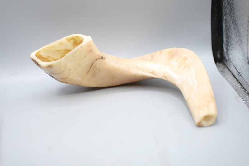 Beautiful Ram's Horn Shofar Jewish Instrument  B1