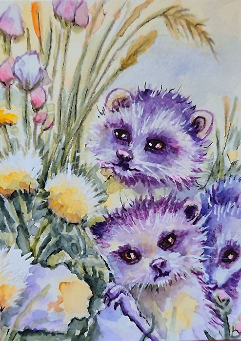 ACEO Original Painting OOAK - Racoons - Bartshe