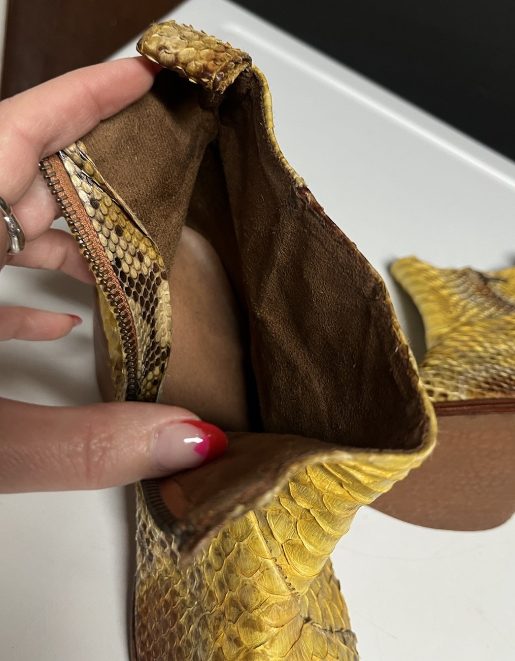 $220 Wandering Coyote Real Snake Python Bright Ye… - image 7