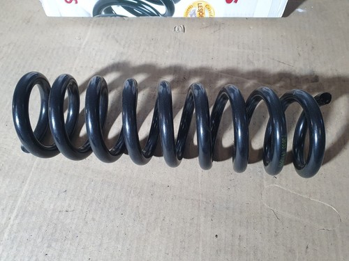 Mercedes E-Klasse W210 Fahrwerksfeder Feder Hinterachse 4256825