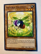 Naturia Fruitfly - HAC1-EN106 - Common - 1st Edition (Duel Terminal) NM Yugioh