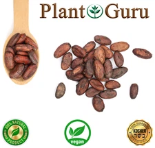 Raw Cacao / Cocoa Beans Whole Chocolate Arriba Nacional Bean 1 oz to 15 Lb Bulk 
