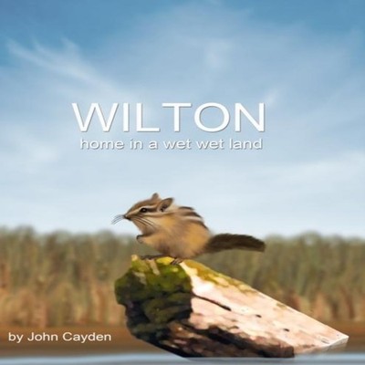 Wilton Home In a Wet Wet Land John Cayden Paperback Amazon Digita