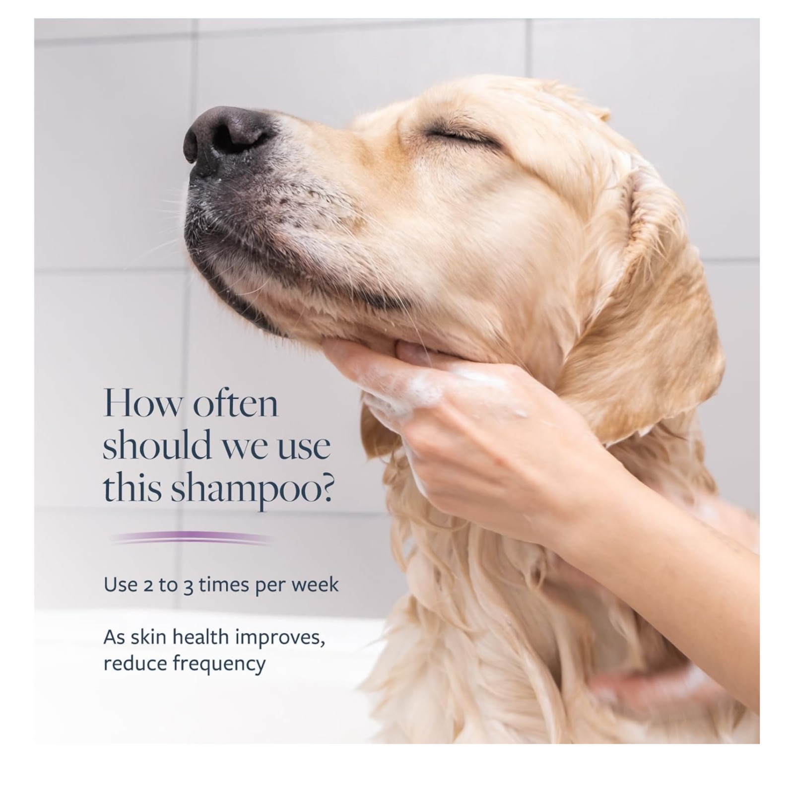 Clinical Care Antiseptic and Antifungal Medicated Shampoo for Dogs & Cats,16 Fl.