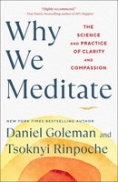 Why We Meditate | The Science And Practice Of Clarity And Compassion | Buch