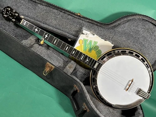 Gibson RB-250 (1970s) (no250412)