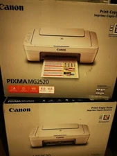 Canon Pixma Color Printer All-in-One Copier Scanner MG2520 w/inks new sealed
