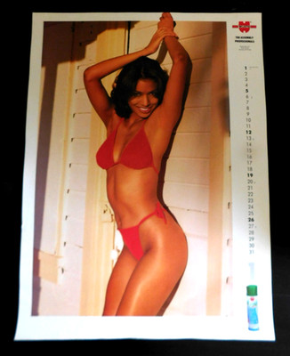 Teresa Lourenco Swimsuit  Model POSTER Page Calendar WURTH 19x26 MANCAVE