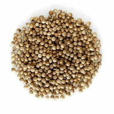 Coriander Seeds Ceylon 100% Organic Natural Herbal Spices 100g -
