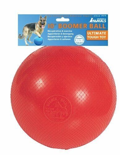 Company of Animals Boomer Ball Dog Toy 10inch dog toy