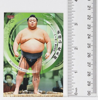 BUSHOZAN KOTARO (Jūryō) - 2023 BBM Sumo Wrestling Trading Card | eBay