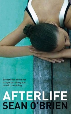 Afterlife by O'Brien, Sean 0330455664 FREE Shipping