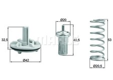 Thermostat Audi 60