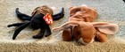 Bild 6 von 8