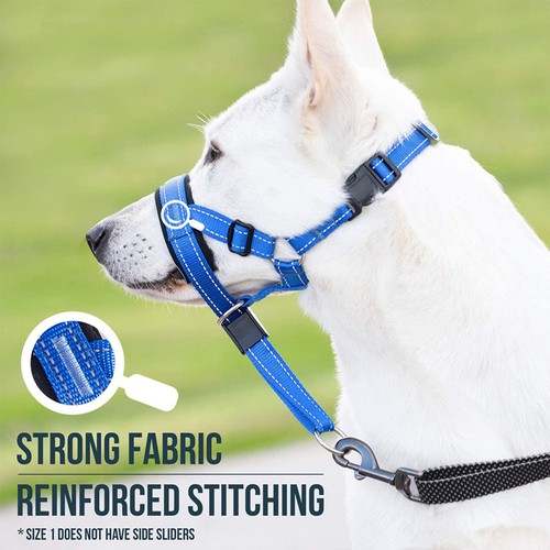 Adjustable Dog Muzzle Prevent Biting Chewing Dog Mouth Guard for Training Dogs - Picture 10 of 14