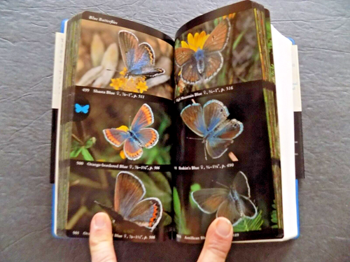 NATIONAL AUDUBON SOCIETY FIELD GUIDE TO NORTH AMERICAN BUTTERFLIES , NEW - Picture 9 of 23
