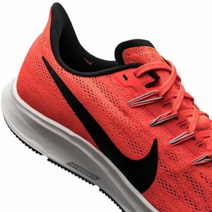 pegasus 36 zoom turbo