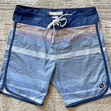 EZEKIEL Mens Boardshorts Sz 34 Surf Swimwear Board Shorts Multicolored Stripes