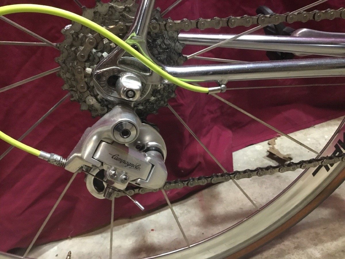 Vintage Bottecchia Steel 57c Road Bike Columbus SLX Campagnolo