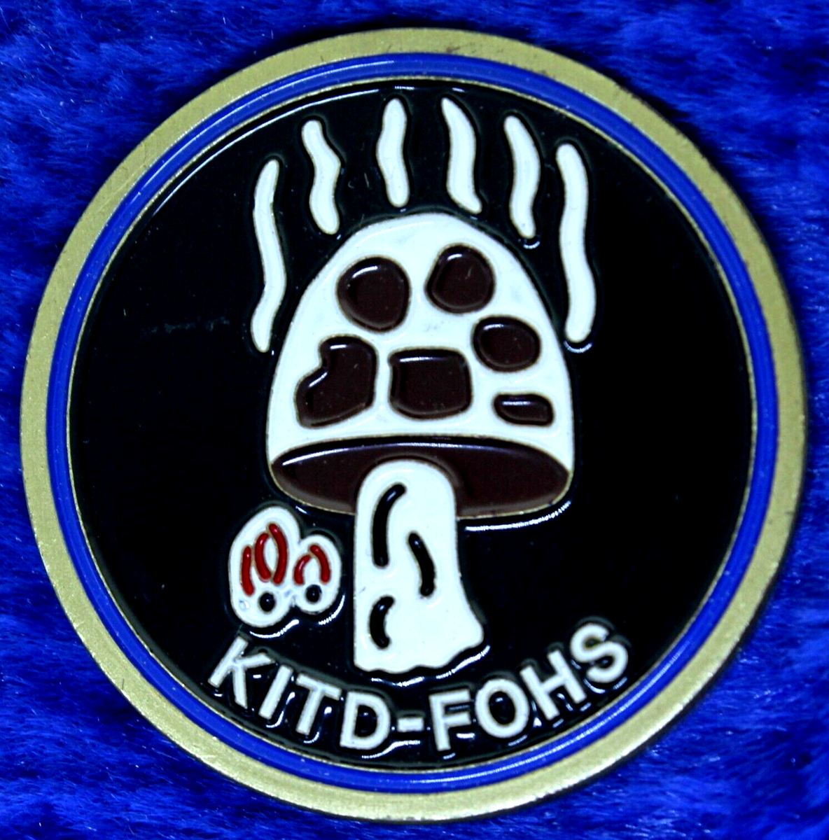 USAF C-130 Lead Aircraft Son Tay Pow Raid Vietnam KITD FOHS Challenge Coin  PT-8 | eBay