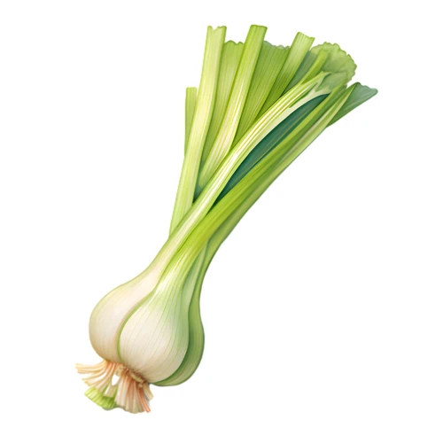 Spring Onion Vegetable Self Adhesive Waterproof Sticker