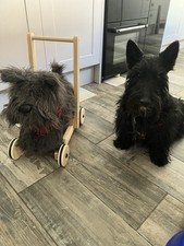 Scottie Dog Child?s Walker. Little Bird Told Me. Immaculate. 
