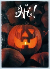 1997 Halloween Jack O Lantern Pumpkins Flint Michigan MI Vintage Postcard