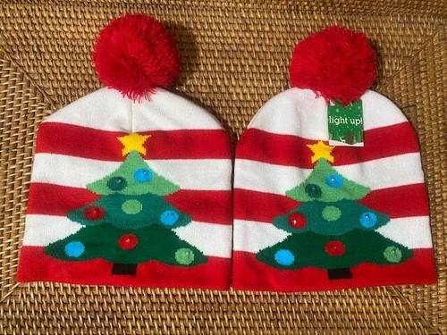 Beanie Hat Light Up Holiday Christmas 