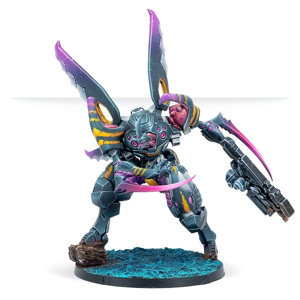 Infinity Reinf. Caskuda WCD Armored Jump Operator - Englisch