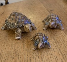 Wade Porcelain Tortoise Figurines, Set of 3, Largest One Is a Trinket Box