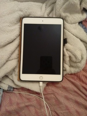 Apple iPad Mini 4 Tablet 16-128 GB 7,9 WiFi WLAN Retina Silber A1538 gebraucht 