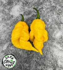 Dystopia Yellow Hot Pepper Seeds