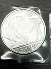 1 oz .999 Fine Silver Buffalo Round – American Buffalo Design in Pouch