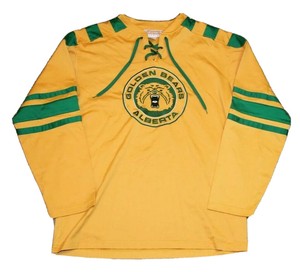 bears hockey jersey