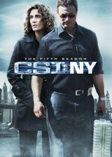 CSI: NY: Season 5, DVD Widescreen, NTSC, Dubbed, Dolby,