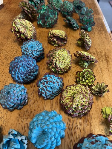 1 Dozen Pine Cone Flowers/Pine Cone Succulent-Hand Cut/Rustic - Bild 9 von 19