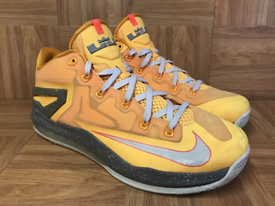 lebron 11 low floridian