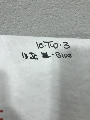 AriZona Womens Scoop Neck Tank Top Blue Size 1X Jr Retails $8 (10-TW-3) - 第 5/5 張圖片