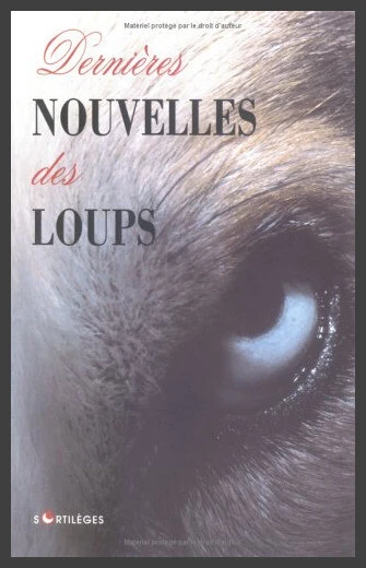 Livres anciens et de collection Hermann Hesse