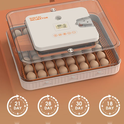 Eggs Incubator Chicken Quail Hatcher Incubators Automatic/Manual Hatching Eggs - Picture 69 of 78