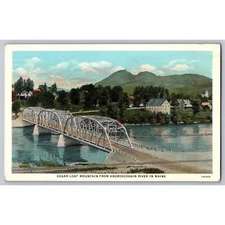 Postcard Unposted Maine Sugar Loaf from Androscoggin River #704