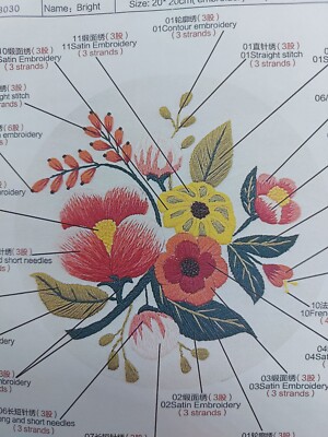 Stickerei Embroidery DIY Art Kit mit Ring Hoop Neu 20×20cm