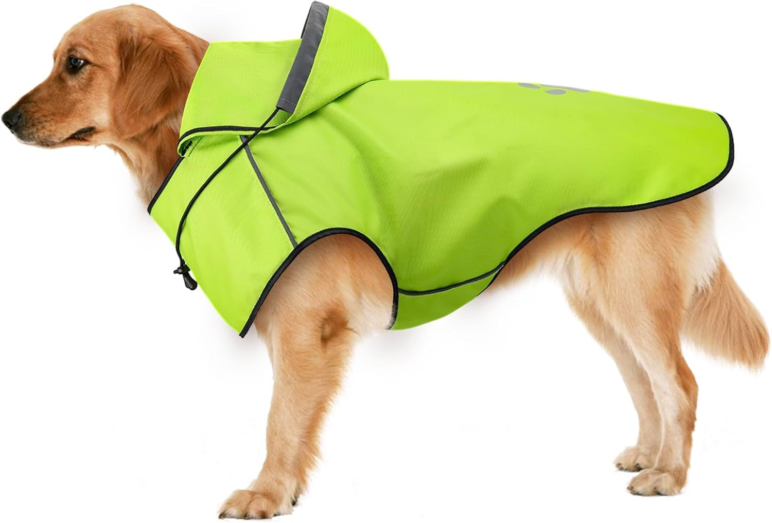 Impermeabile Cane Taglia Grande e Piccola: Cappotto Antipioggia Premium