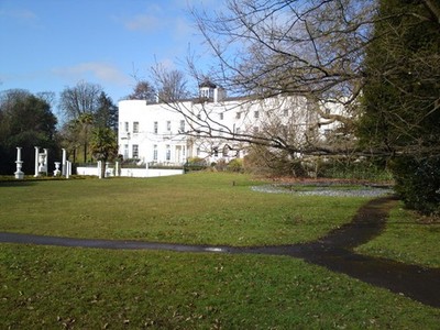 Foto A2 Sketty Hall Swansea\/Abertawe Krokusse oder Croci in Sketty Hall. c2010